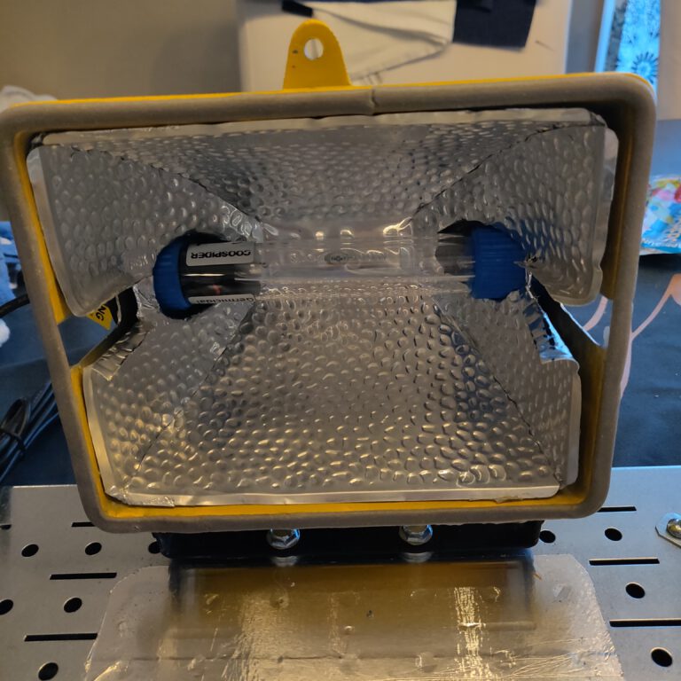 Official Blog » Blog Archive Mold Assassin The