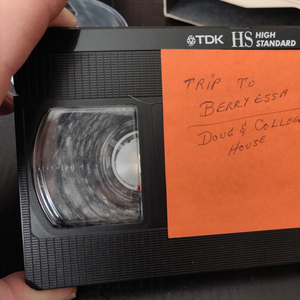 Official Blog » Blog Archive Mold Assassin The